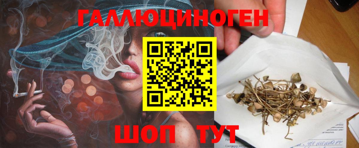 Псилоцибиновые грибы GOLDEN TEACHER  Вход с VPN  Выкса 