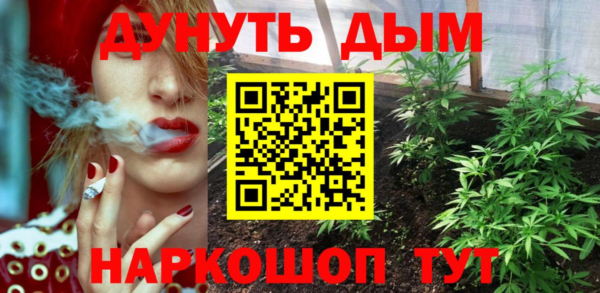 Шишки марихуана планчик  Марихуана план  Бошки Шишки AK-47  Выкса  Вход с VPN 